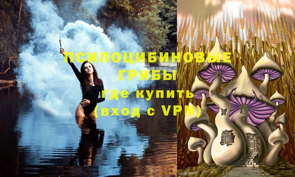 эйфоретик Бугульма